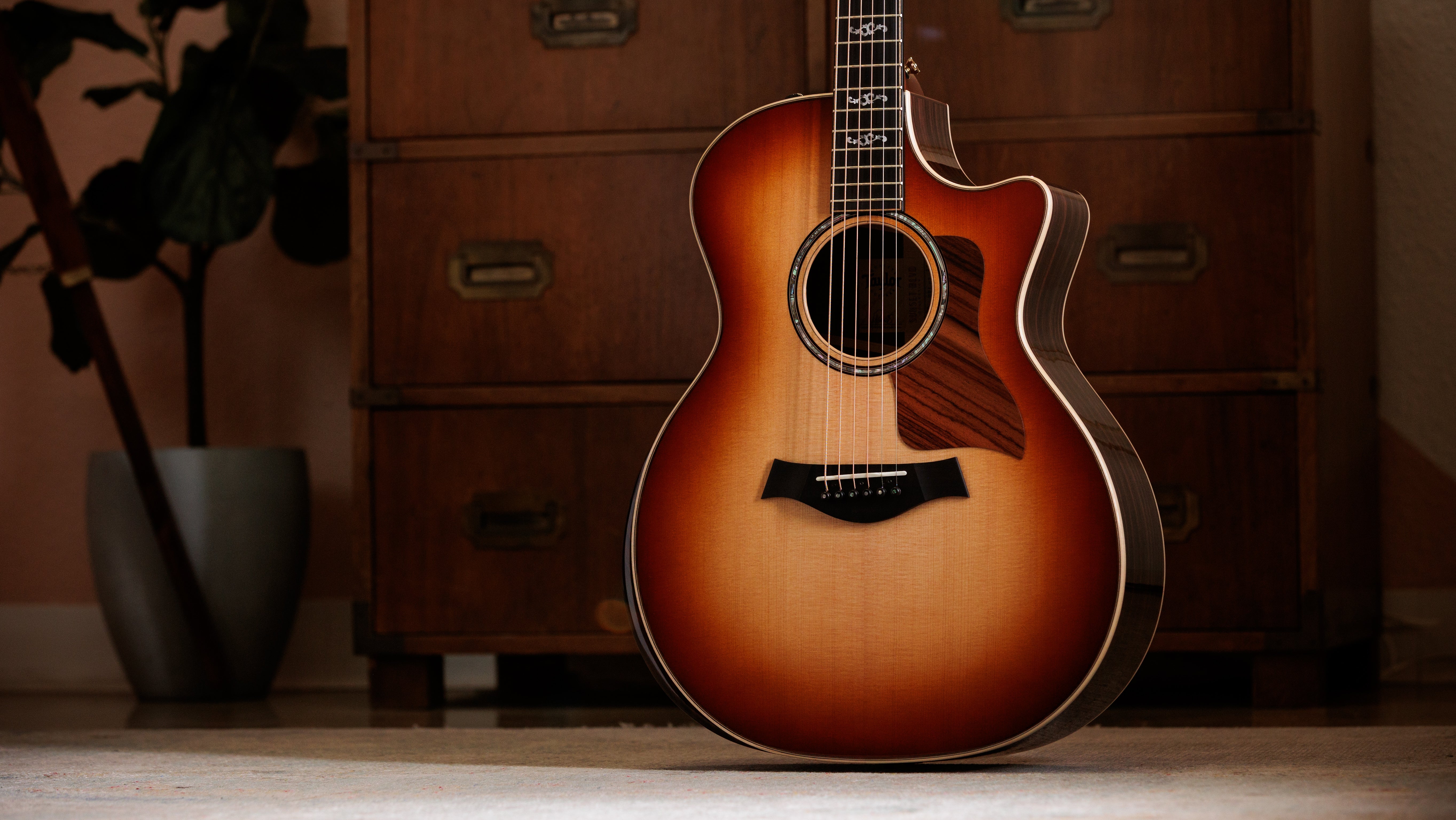 Acoustic Guitars