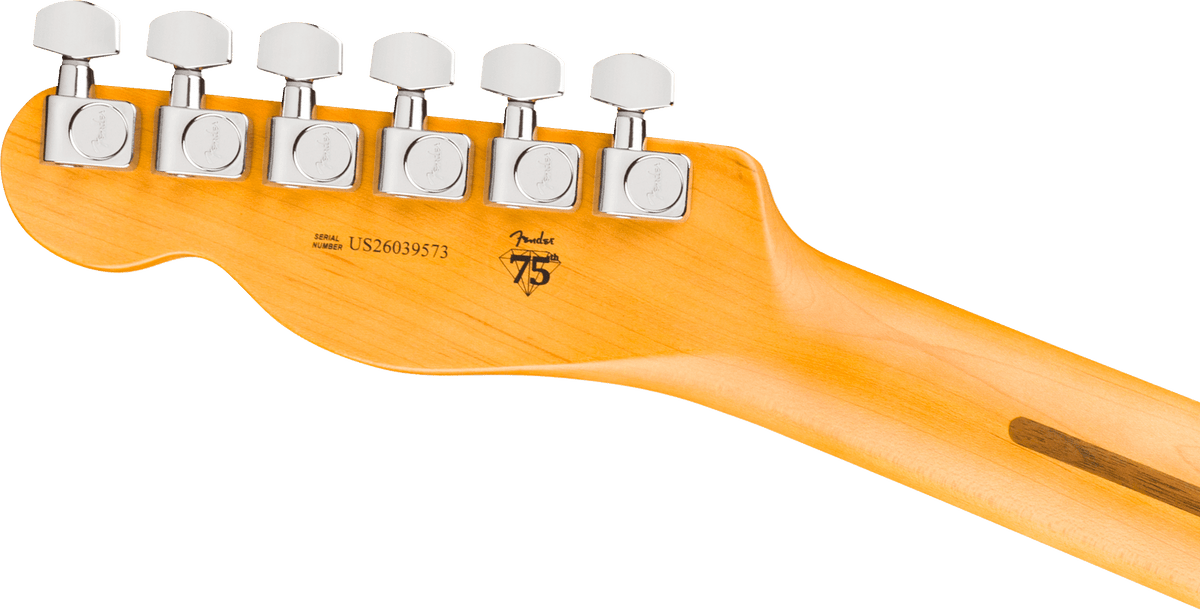 Fender American Professional Telecaster®, Rosewood Fingerboard, Natural - Fair Deal Music