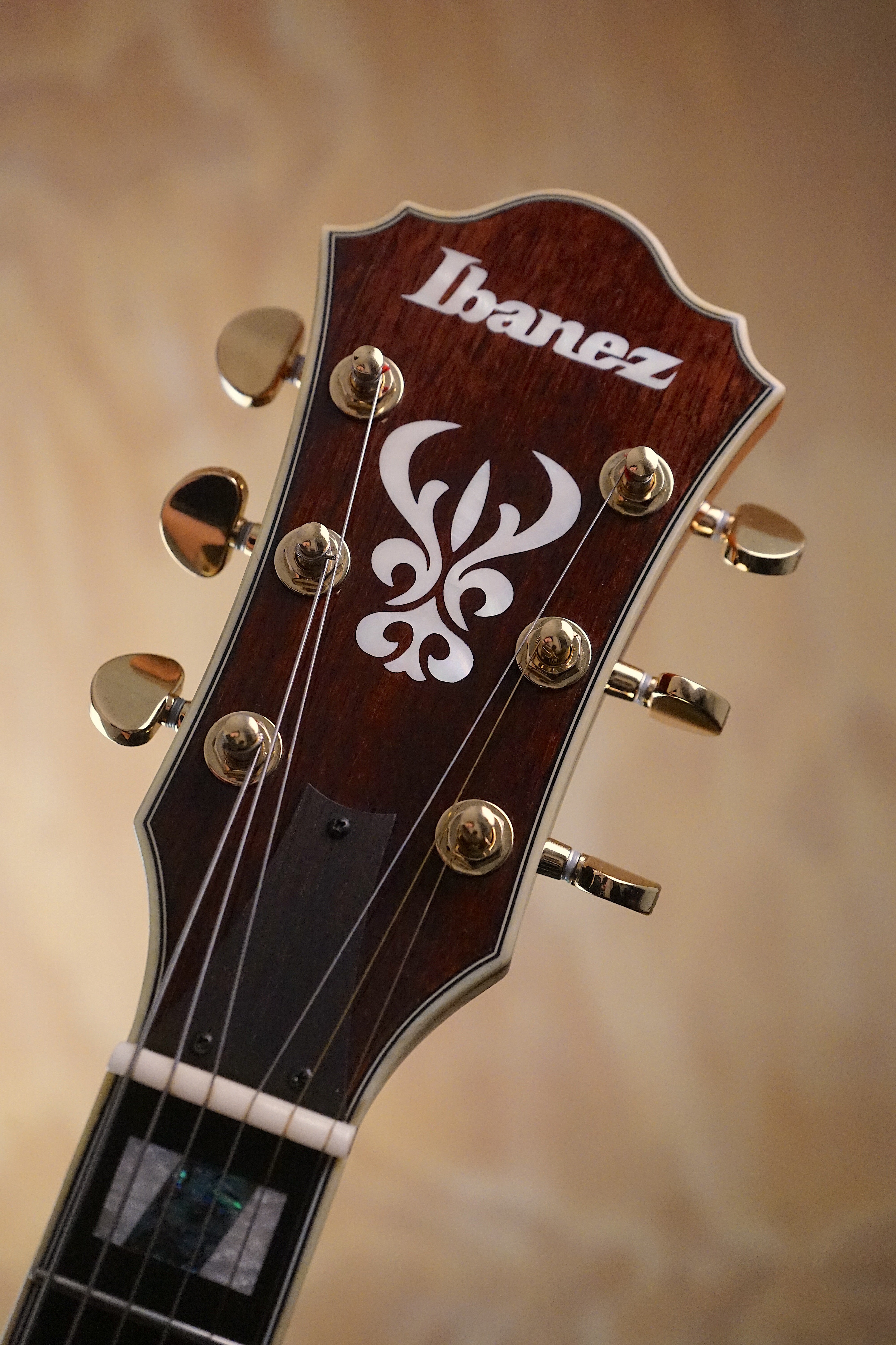 Ibanez AS113 Semi-Hollowbody Brown Sunburst, (Used) - Fair Deal Music