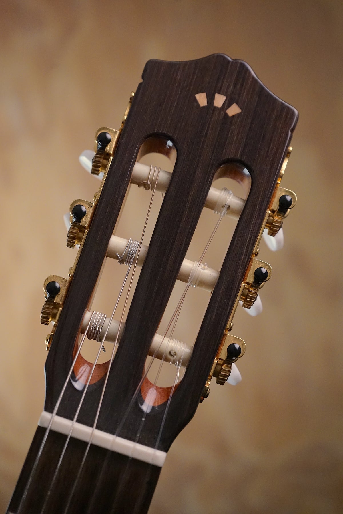 Córdoba C5 Classical Guitar, (Used)