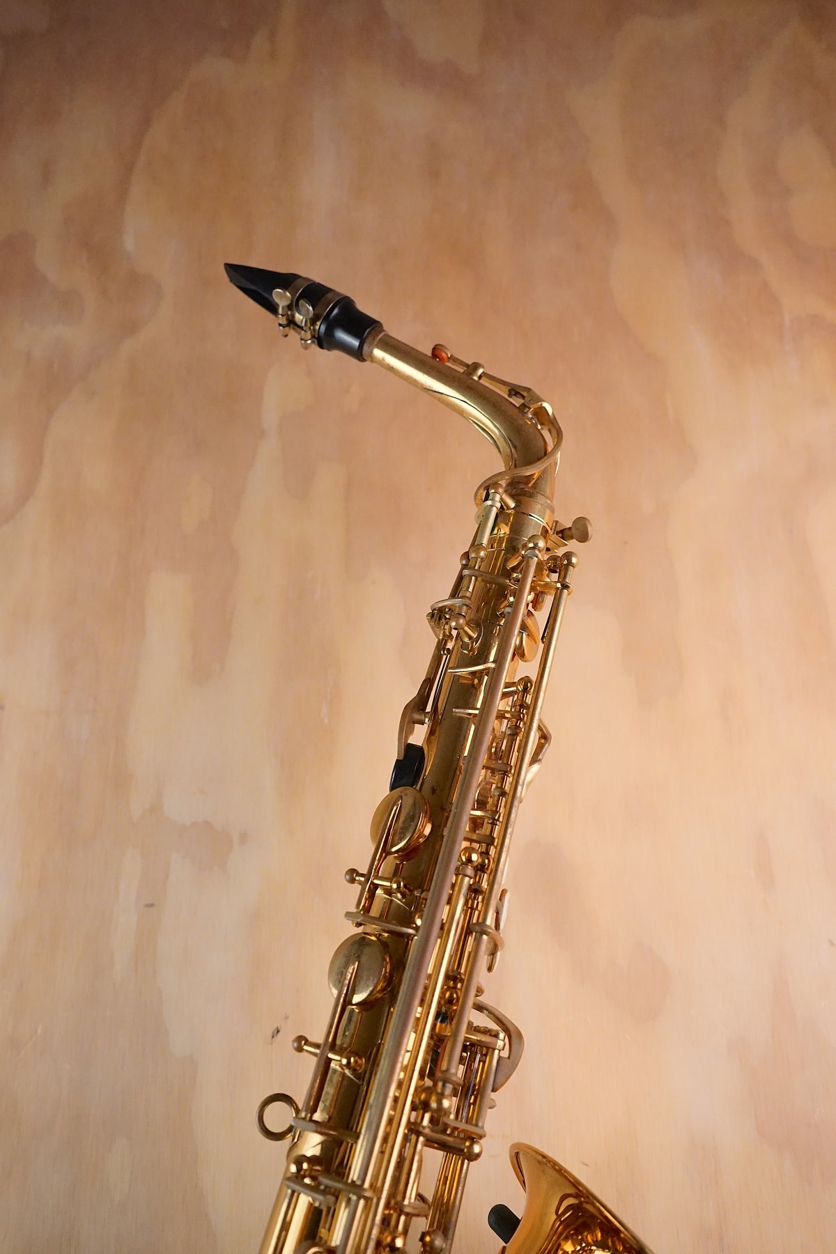 Used Roy Benson Alto Saxophone outfit