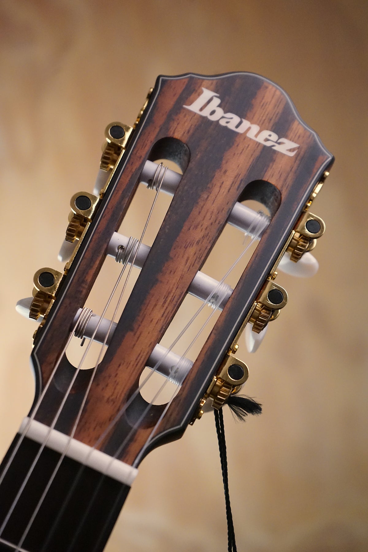 Ibanez FRH10N Electro-Acoustic, Natural Flat, Ex Display