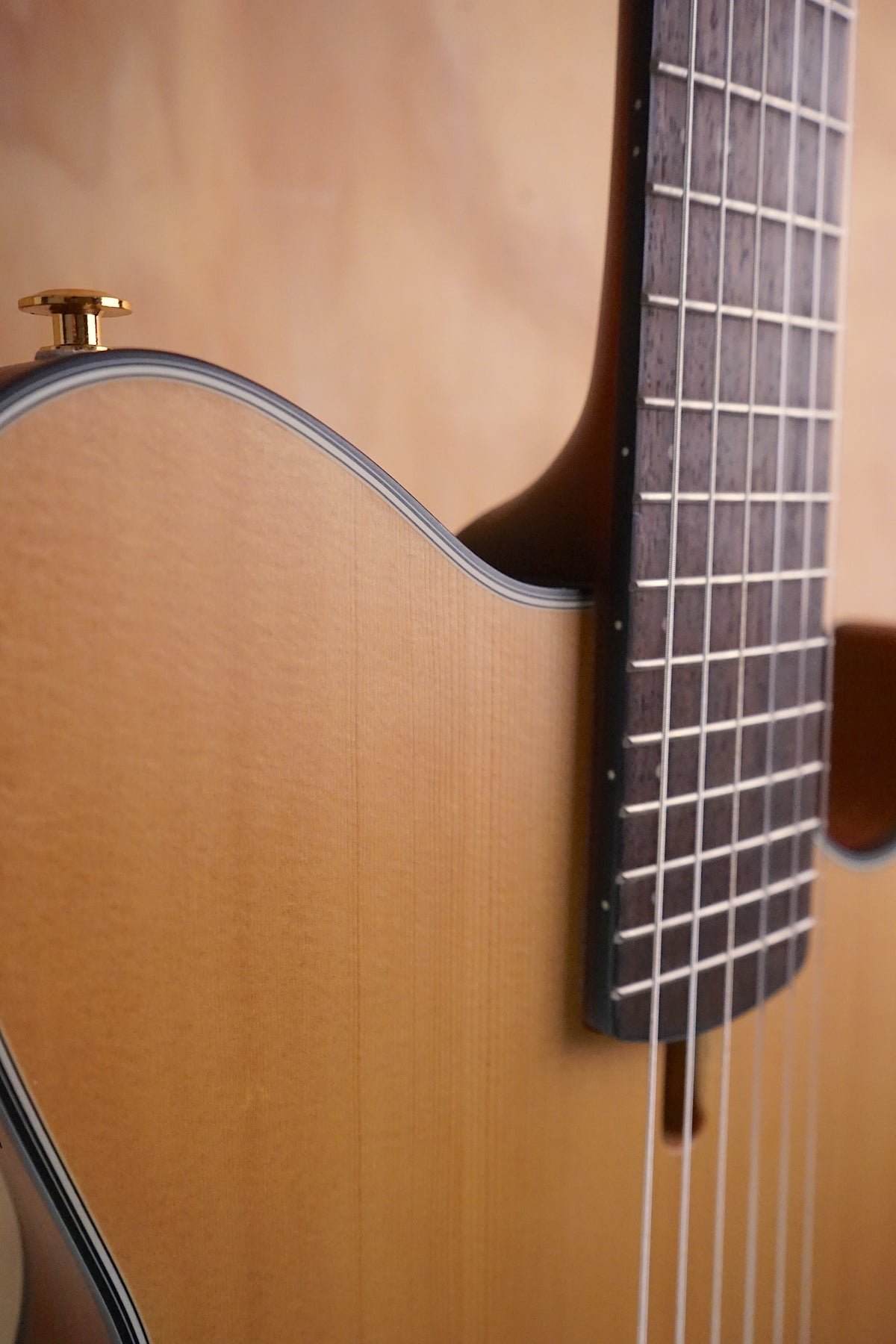 Ibanez FRH10N Electro-Acoustic, Natural Flat, Ex Display