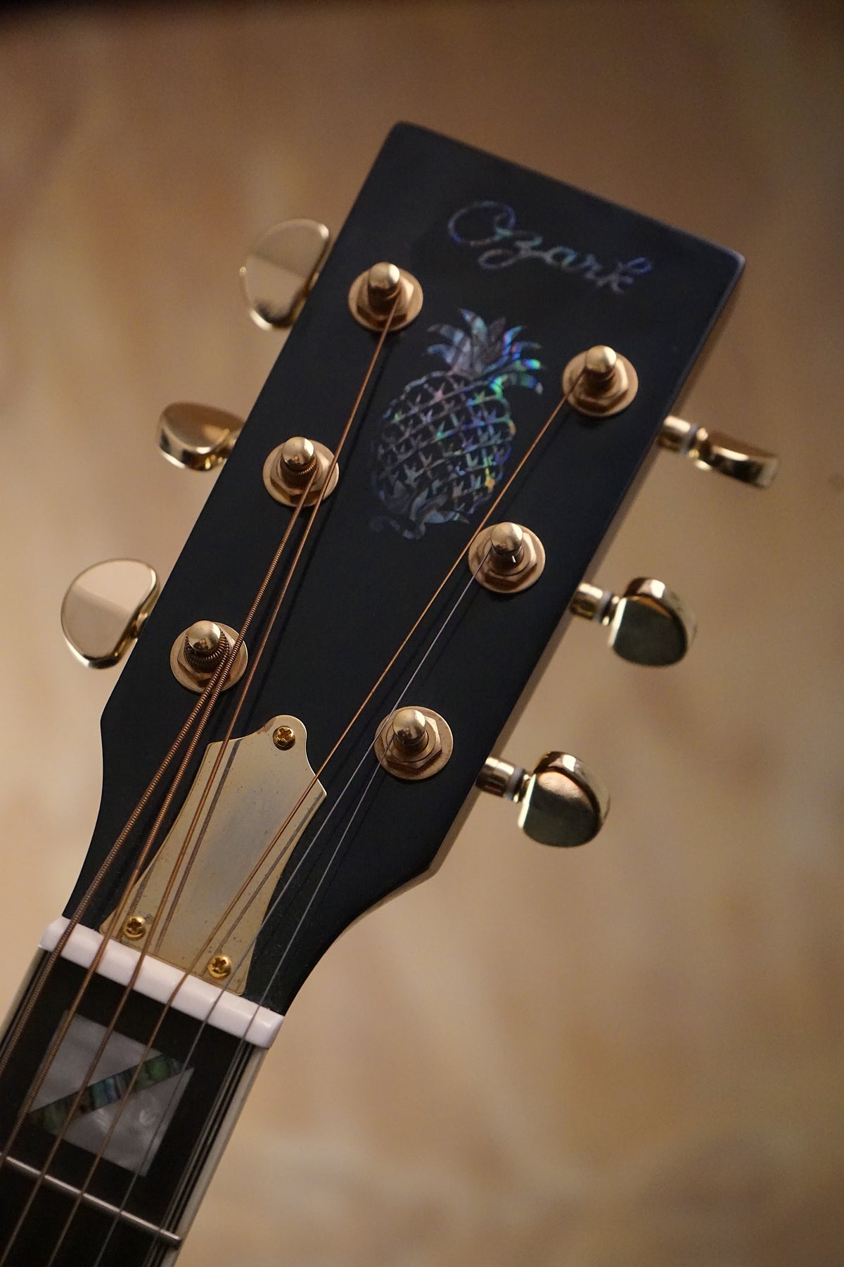 Ozark 3515BTE Brass Thinline Electric Resonator, (Used, Comm) - Fair Deal Music