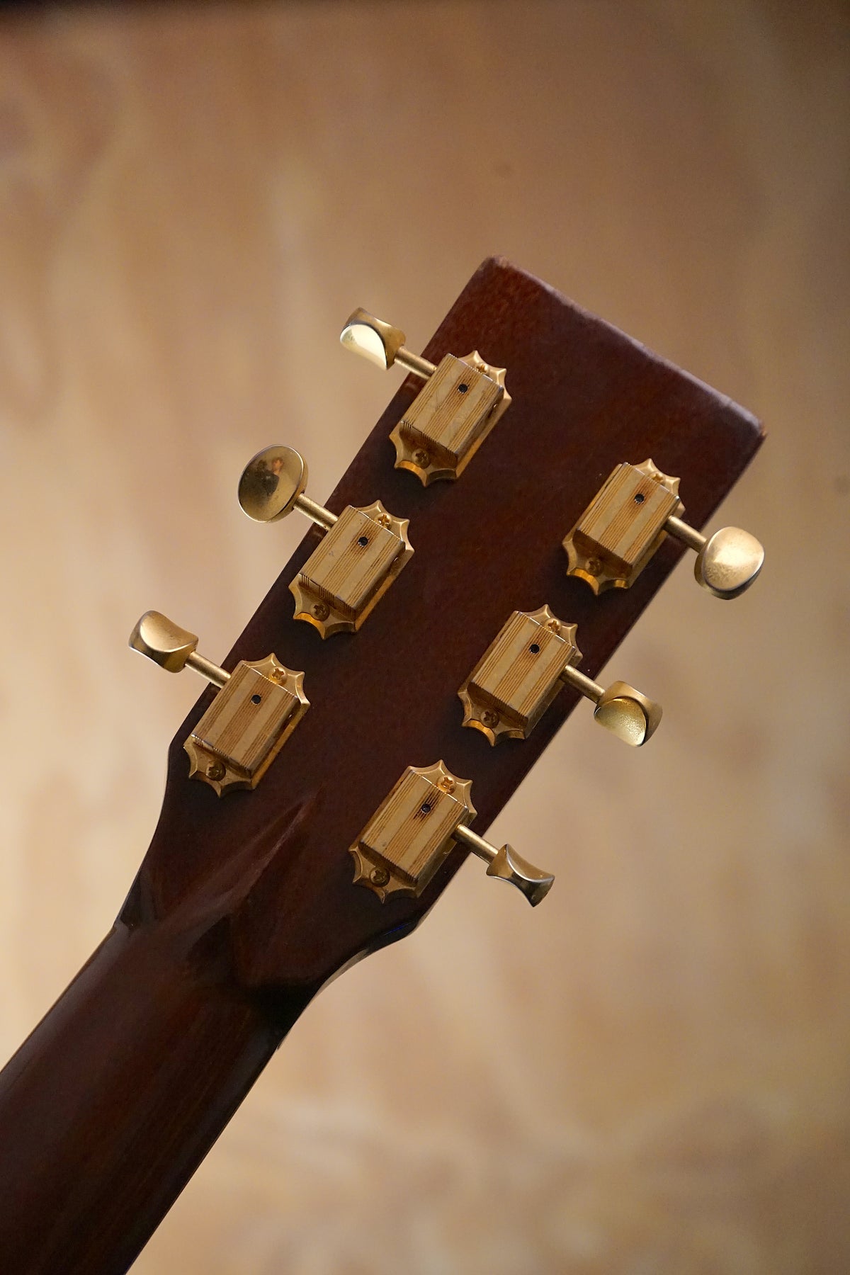 Tanglewood TW170AS Grand Concert Acoustic Guitar, (Used)