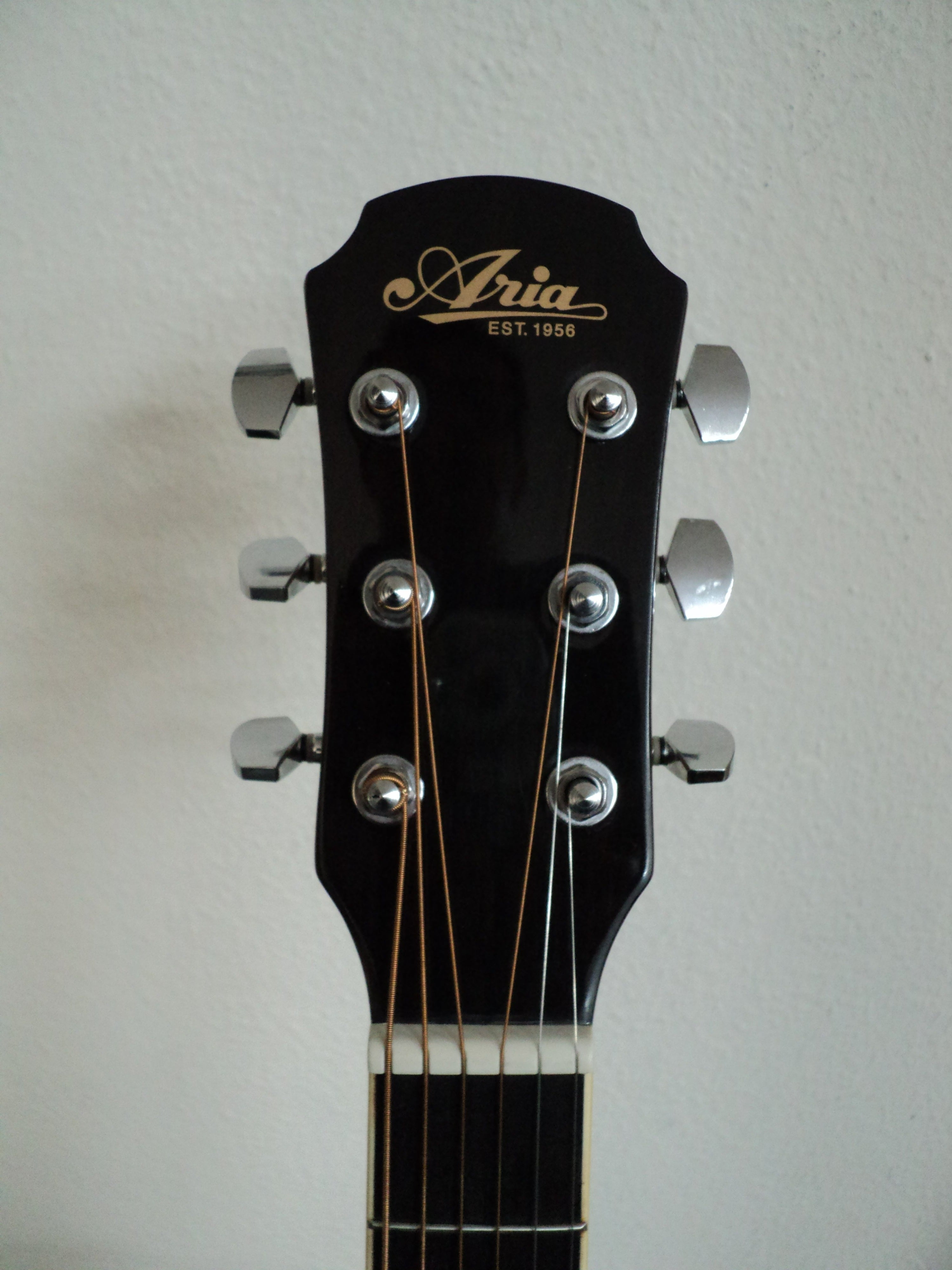 Aria Folk Size Guitar AF20 *EX-DISPLAY* - Fair Deal Music