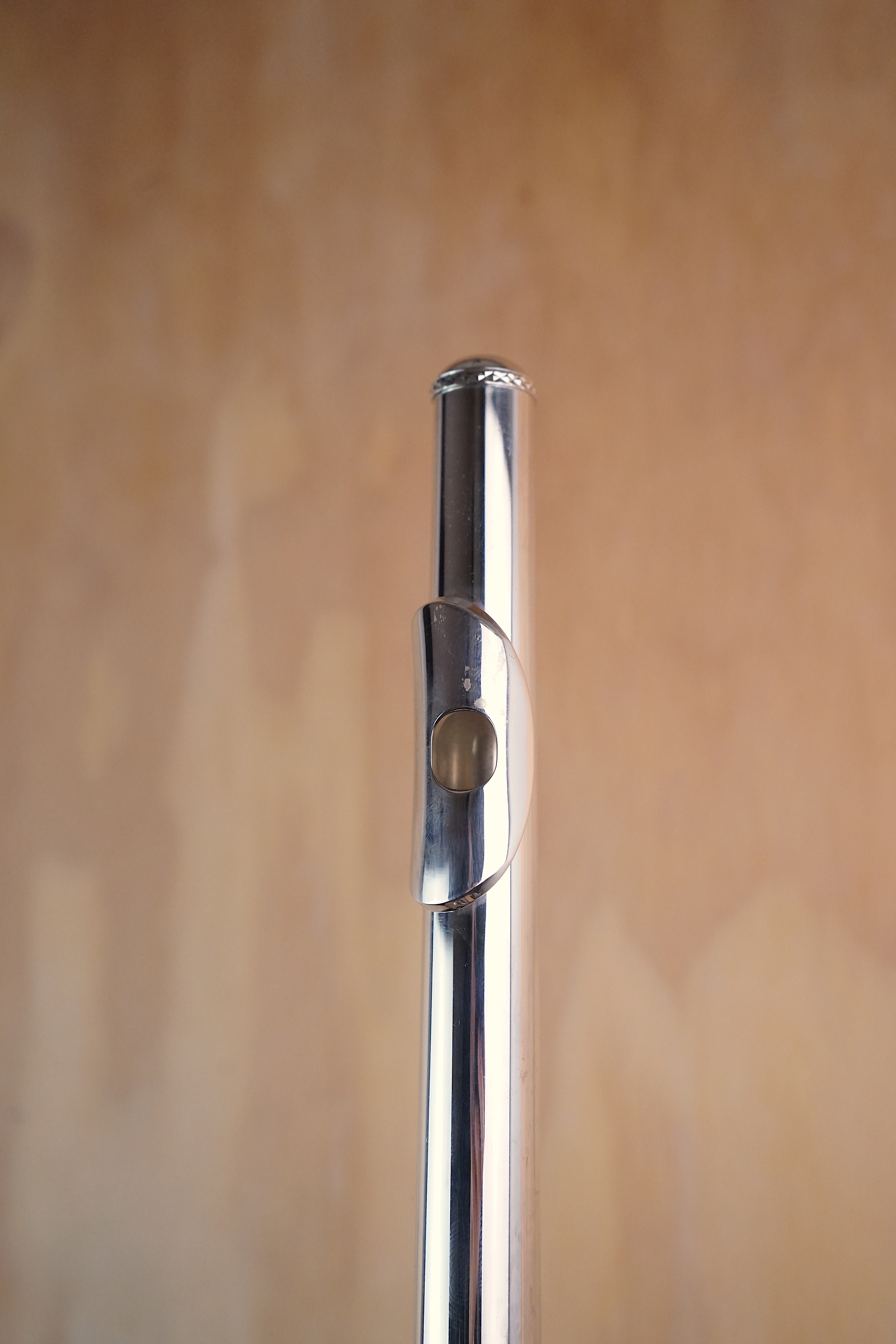 Trevor James 10XE Flute (Used) - Fair Deal Music