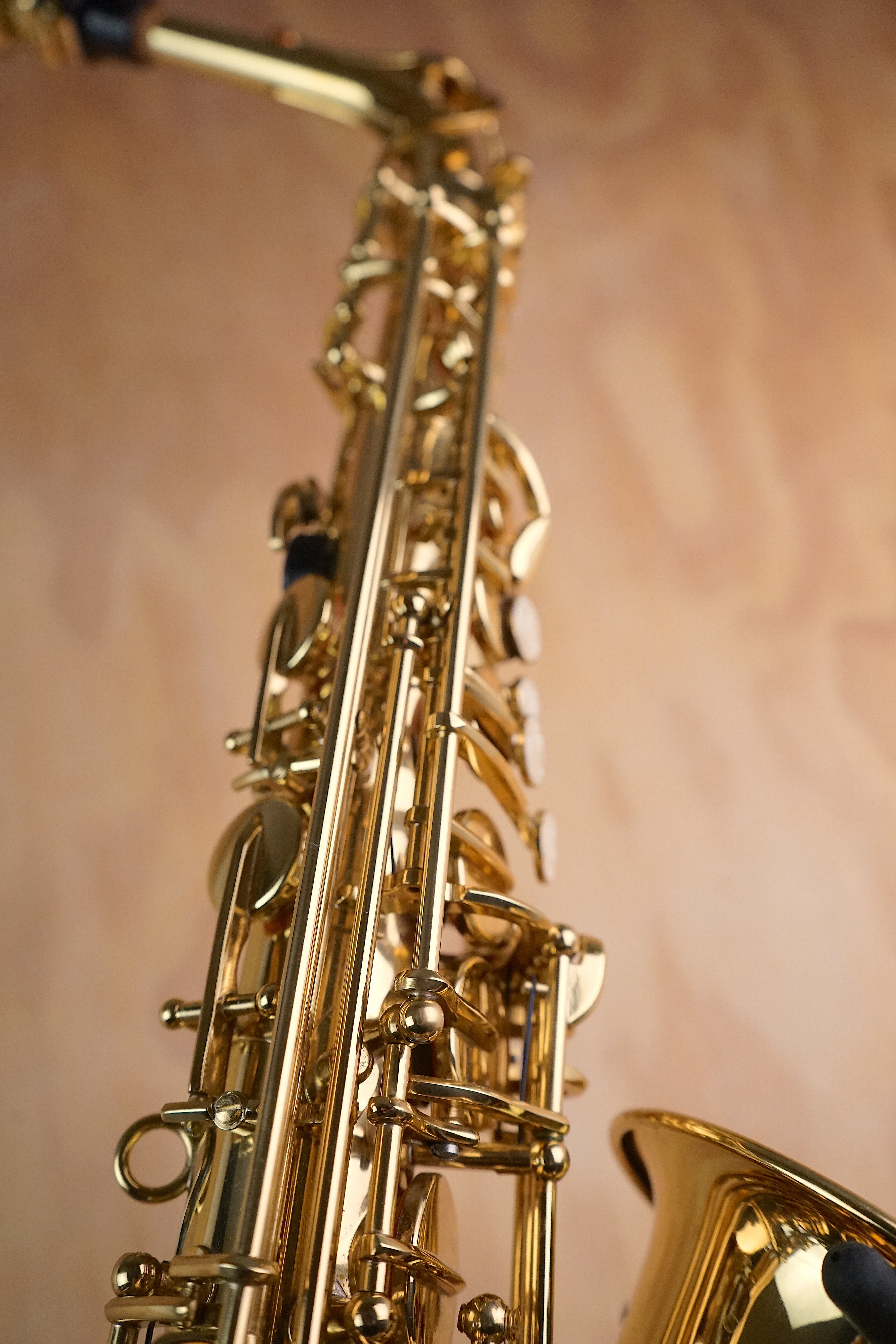 Roy Benson AS-202 Alto Saxophone (Used) - Fair Deal Music