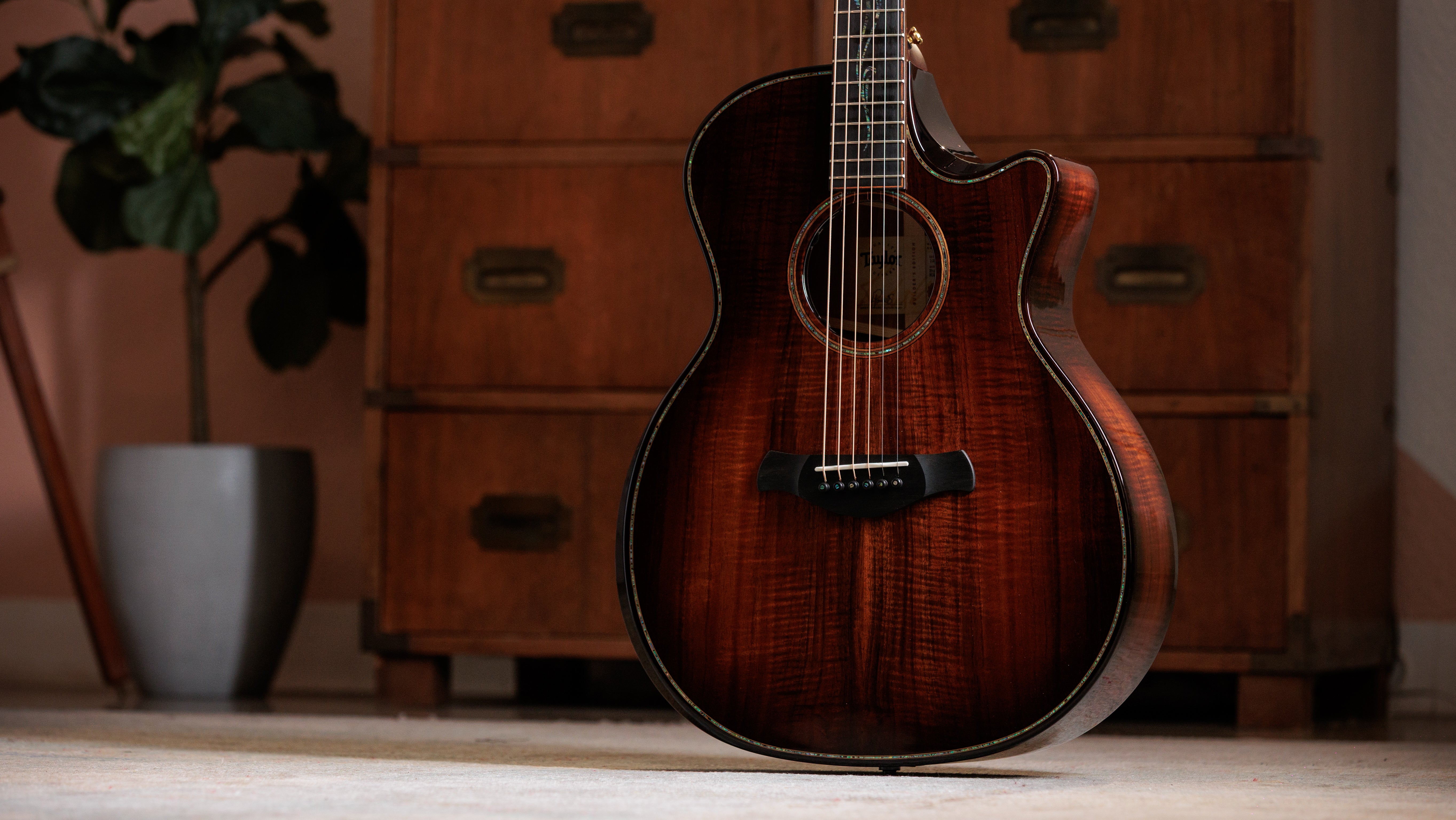 Taylor Builder's Edition K24ce Next Generation Grand Auditorium, Electro-Acoustic Guitar - Fair Deal Music