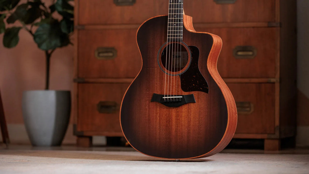 Taylor Sunset Blvd 24ce Edgeburst Electro-Acoustic Guitar
