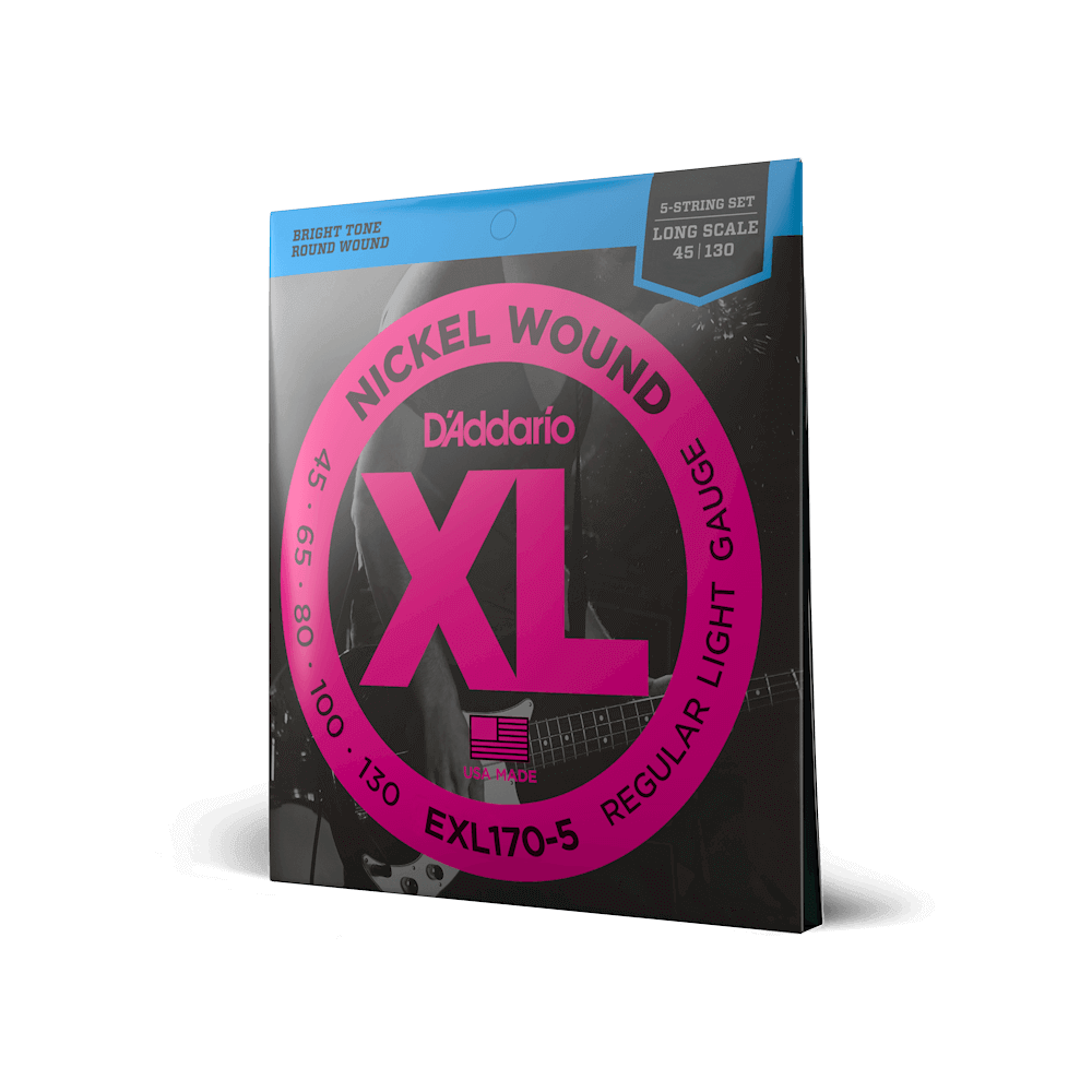 EXL170-5 Regular Light Long Scale 5-String Bass Strings 45-130 - Fair Deal Music