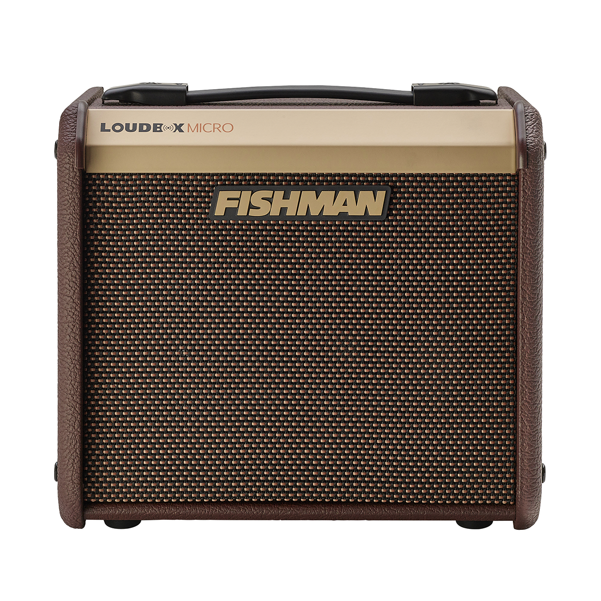 Fishman Loudbox Micro Acoustic Amplifier - Fair Deal Music