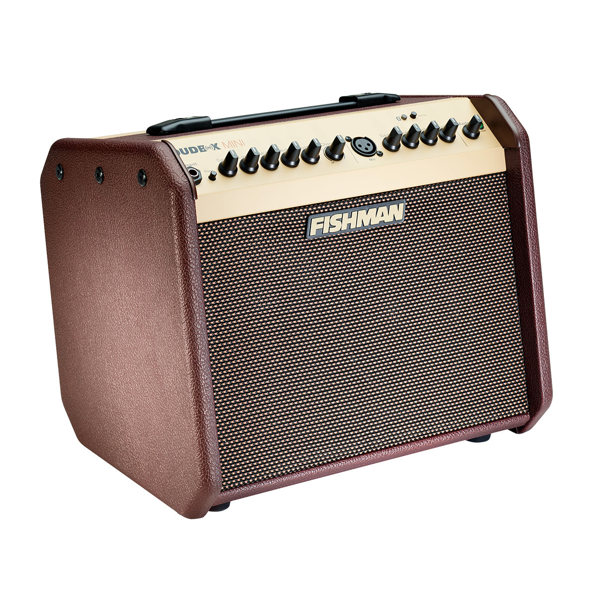 Fishman Loudbox Mini Bluetooth Acoustic Combo - Fair Deal Music