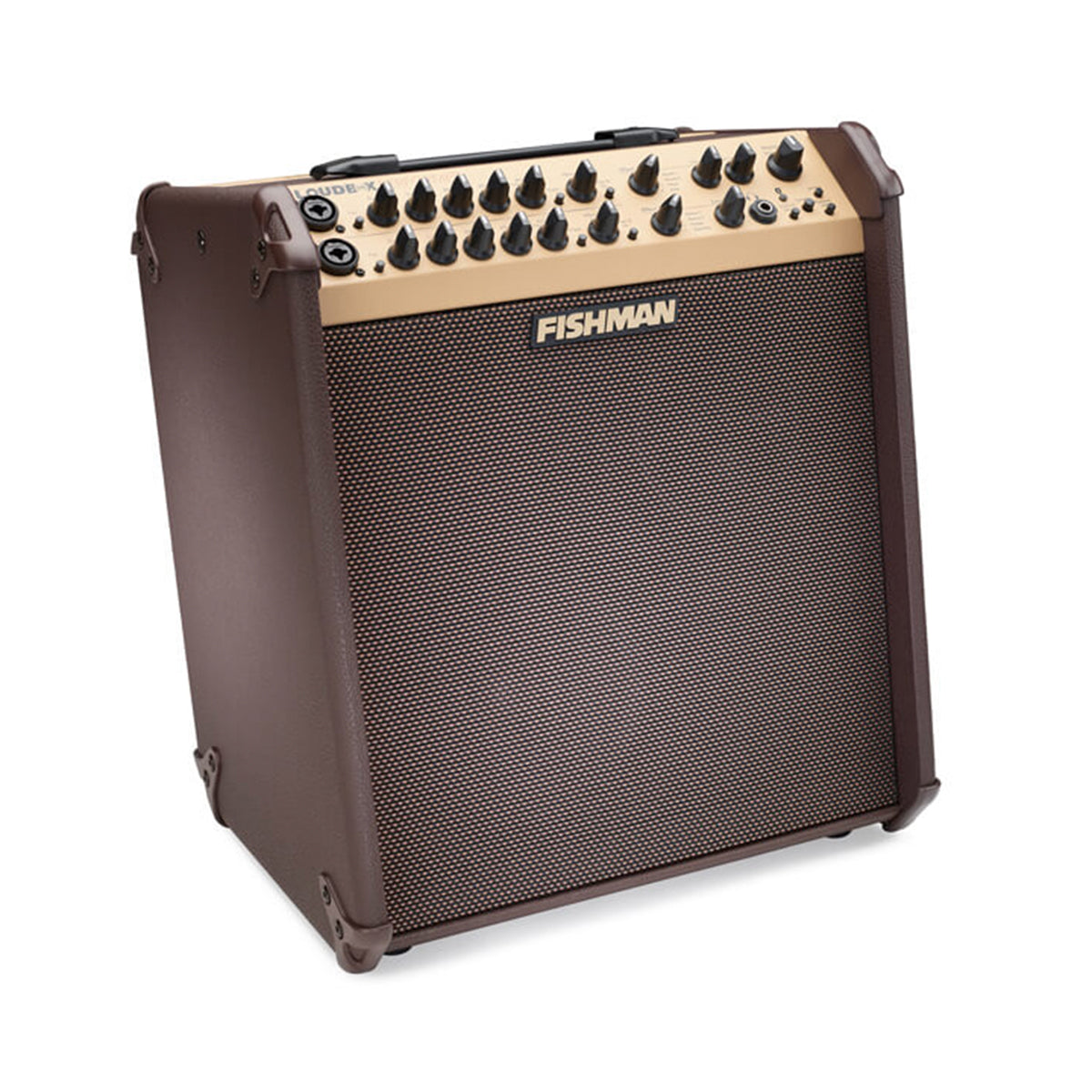 Fishman Loudbox Performer Acoustic Amplifier - Fair Deal Music