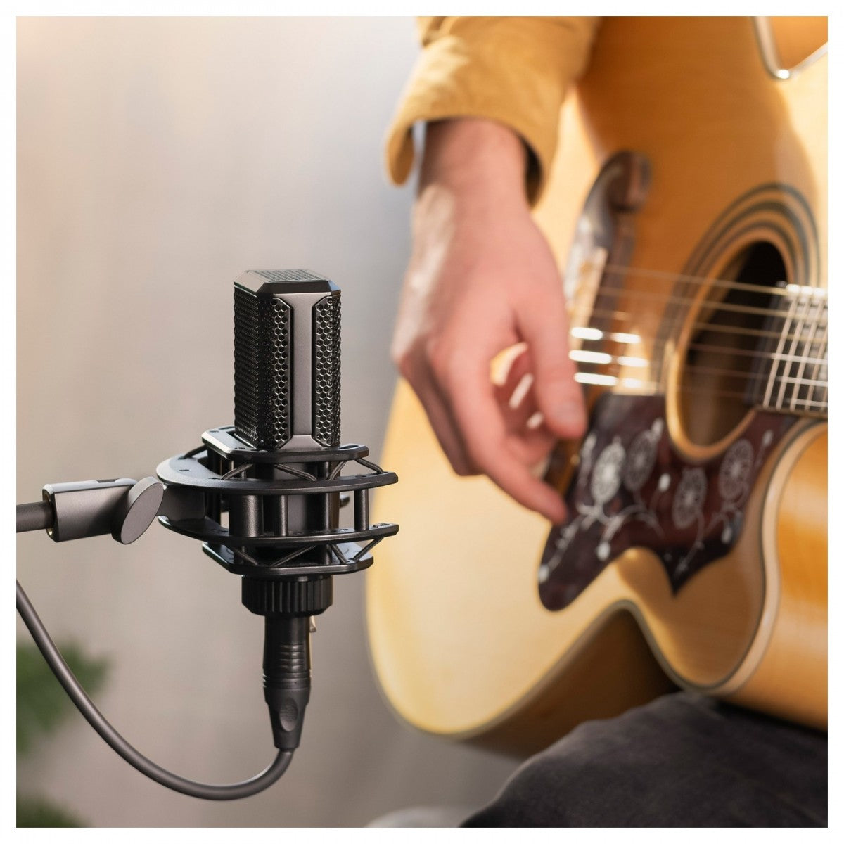 Lewitt LCT240 PRO Vocal Set, Black - Fair Deal Music