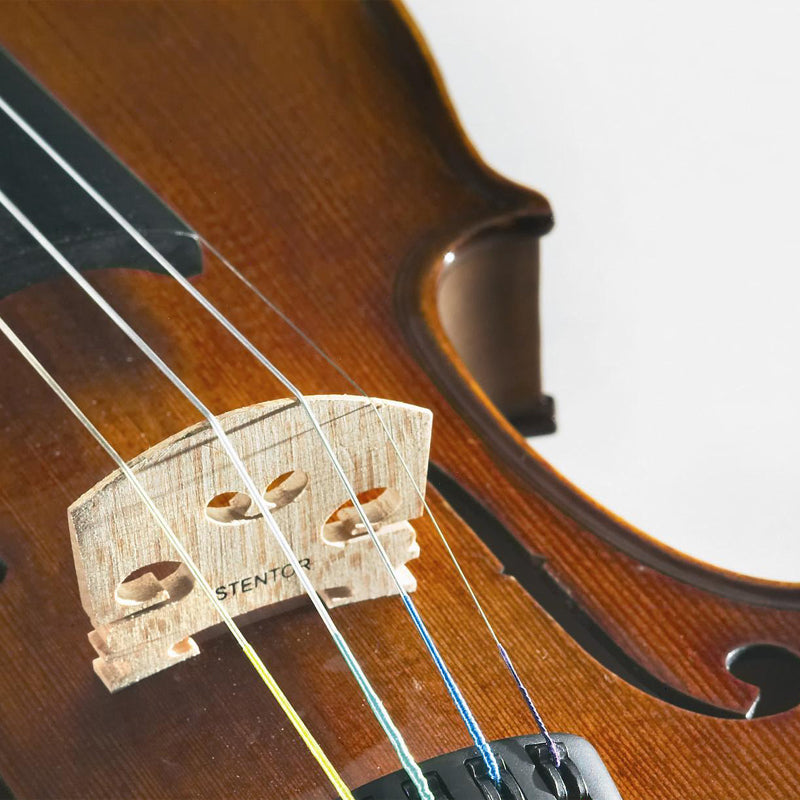 Stentor Student II Violin Outfit with Case & Bow - Fair Deal Music