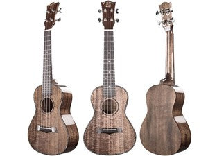 Snail RT-C Stained Solid Mahogany Gloss Concert Ukulele - Fair Deal Music