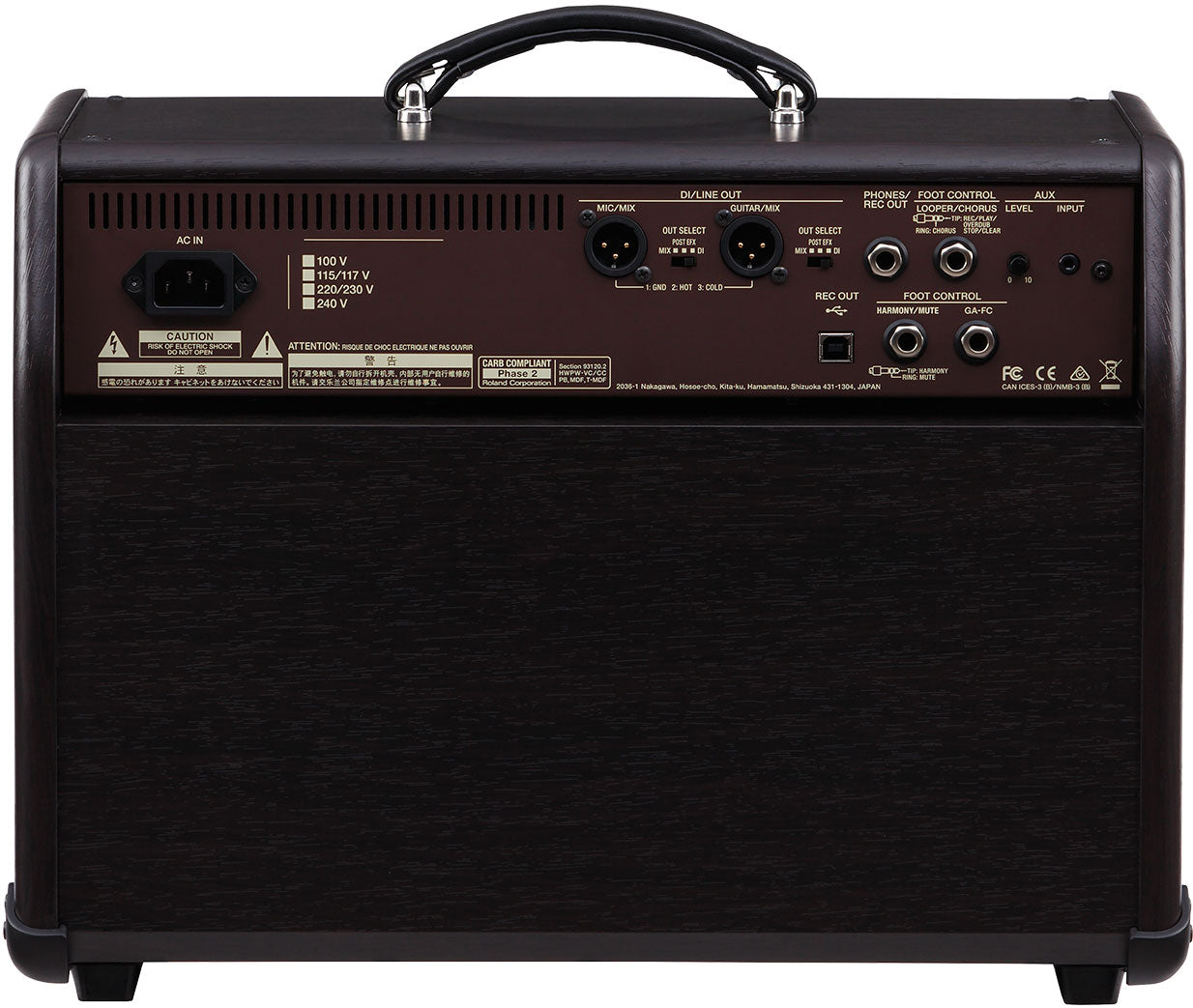 Boss Acoustic Singer Pro 120W 1x8 Acoustic Guitar Combo Amplifier - Fair Deal Music