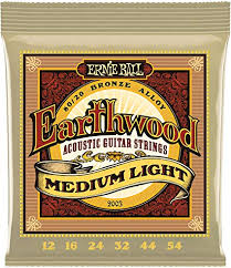 Ernie Ball Earthwood Acoustic Strings Medium Light 12-54 - Fair Deal Music