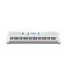 Yamaha EZ-300 Key Lighting Keyboard - Fair Deal Music