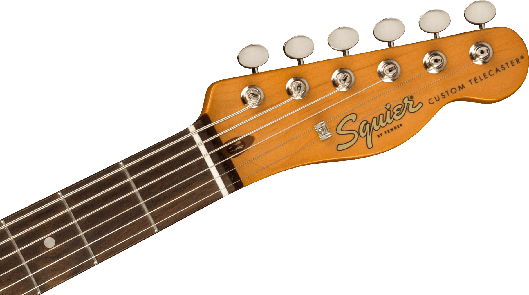 Squier