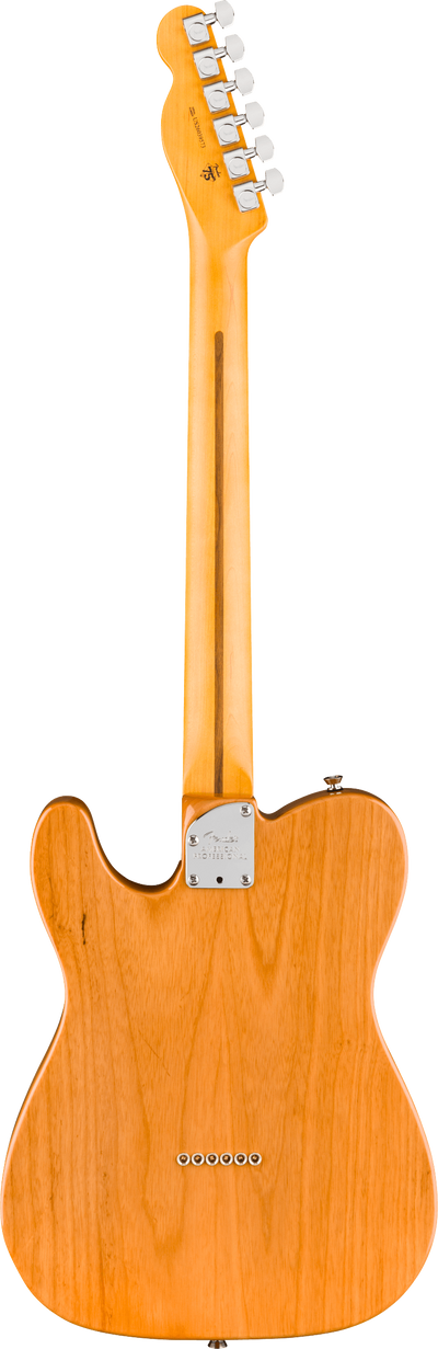 Fender American Professional Telecaster®, Rosewood Fingerboard, Natural - Fair Deal Music