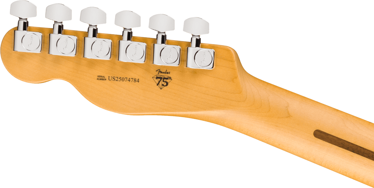 Fender American Professional Telecaster®, Maple Fingerboard, Butterscotch Blonde - Fair Deal Music