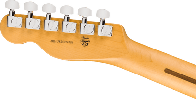 Fender American Professional Telecaster®, Maple Fingerboard, Butterscotch Blonde - Fair Deal Music