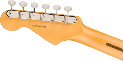 Fender American Professional Classic Stratocaster, Rosewood Fingerboard, Faded Black Electric Guitar - Fair Deal Music