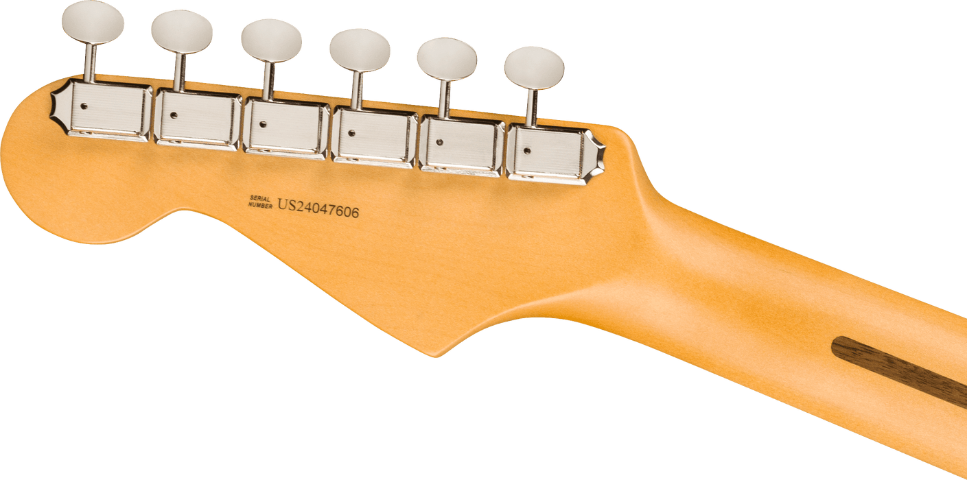 Fender American Professional Classic Stratocaster, Rosewood Fingerboard, Faded Black - Fair Deal Music
