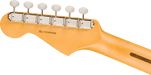 Fender American Professional Classic Stratocaster, Rosewood Fingerboard, Faded Black - Fair Deal Music