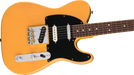 Fender American Professional Classic Hotshot Telecaster Butterscotch Blonde, Ex-Display - Fair Deal Music