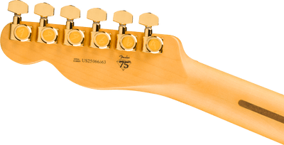 Fender 75th Anniversary American Professional Custom Telecaster®, Maple Fingerboard, 2-Color Sunburst - Fair Deal Music
