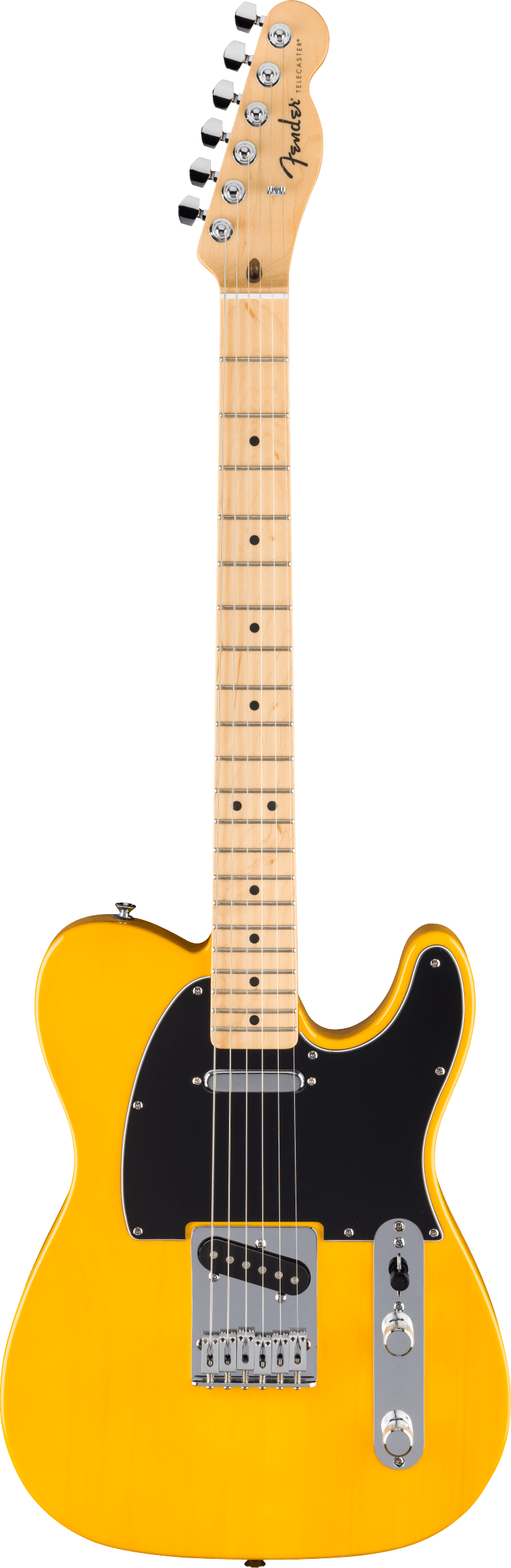 Beginner Electric Guitars
