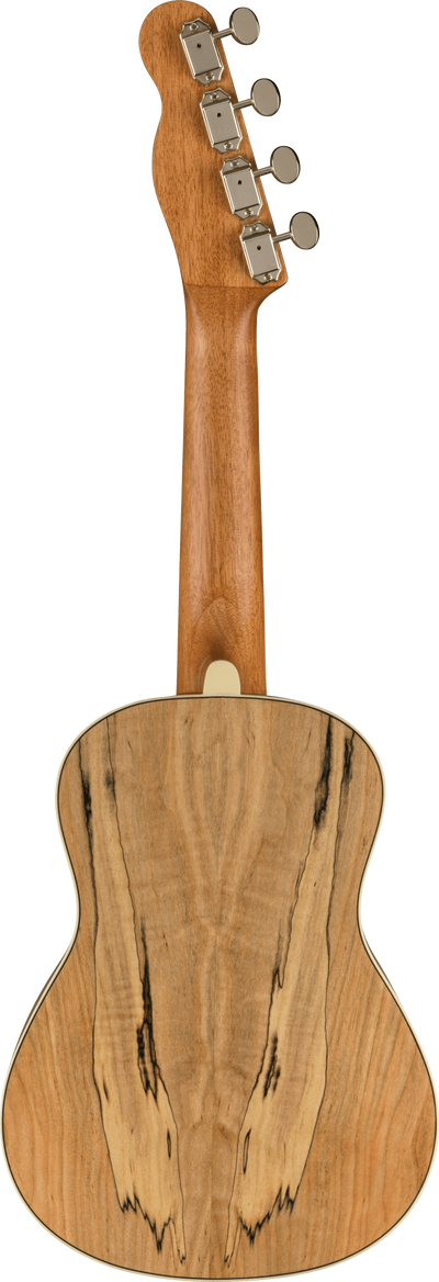 Fender Zuma Exotic Concert Ukulele, Spalted Maple - Fair Deal Music