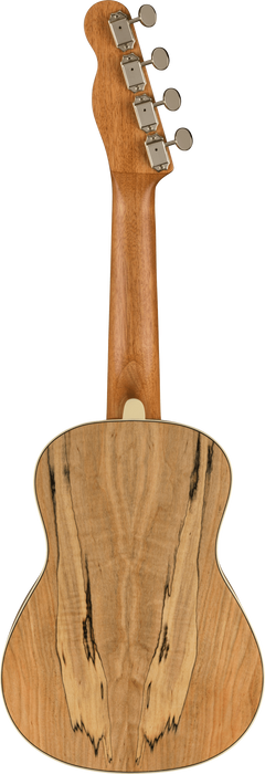 Fender Zuma Exotic Concert Ukulele, Spalted Maple - Fair Deal Music