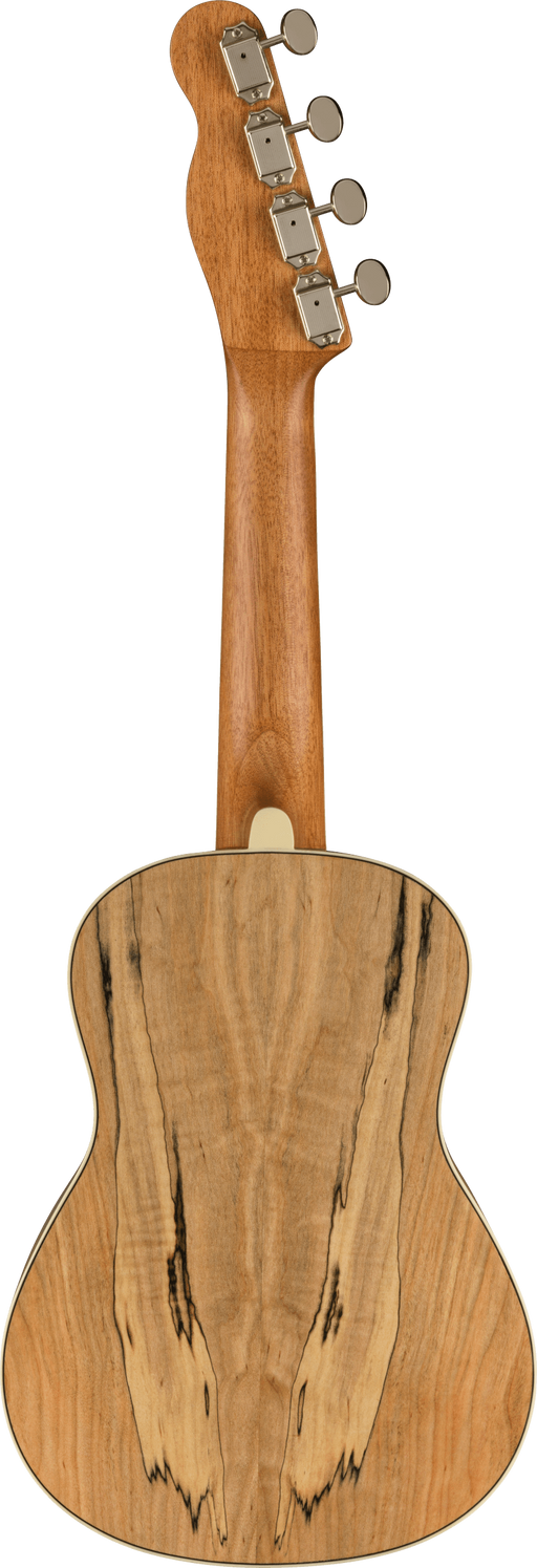 Fender Zuma Exotic Concert Ukulele, Spalted Maple - Fair Deal Music