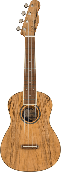 Fender Zuma Exotic Concert Ukulele, Spalted Maple - Fair Deal Music