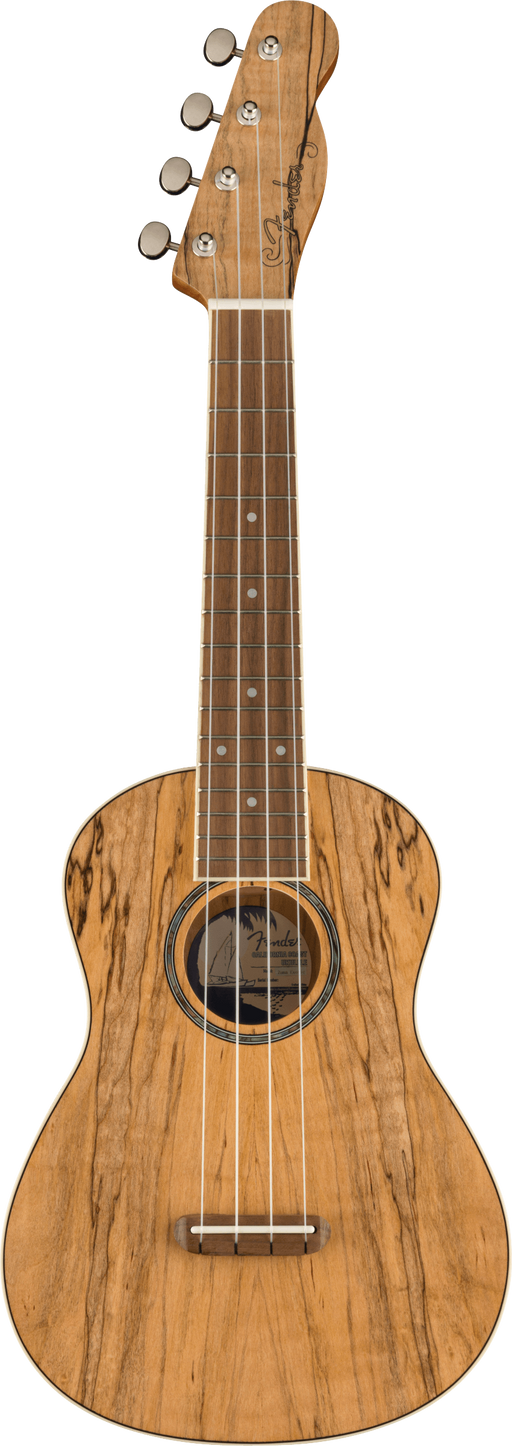 Fender Zuma Exotic Concert Ukulele, Spalted Maple - Fair Deal Music