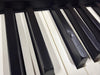 Roland FP-90X-BK Premium Portable Piano in Black (Used) A4P1483 - Fair Deal Music