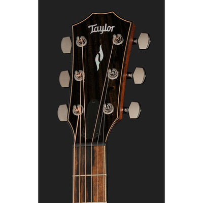 Taylor 814ce, Next Generation Electro Acoustic Guitar, Grand Auditorium - Fair Deal Music
