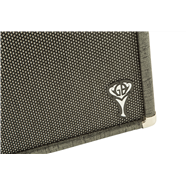 Fender GB Twin Reverb George Benson Guitar Amplifier