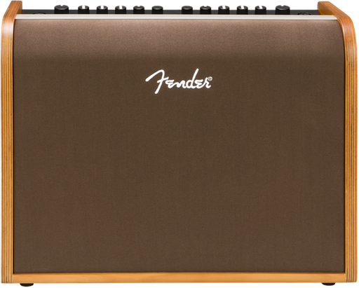 Fender Acoustic 100 Amp - Fair Deal Music