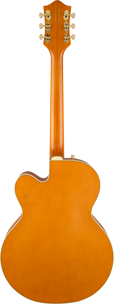Gretsch G6120T-55 Vintage Select Edition '55 Chet Atkins Hollow Body - Fair Deal Music