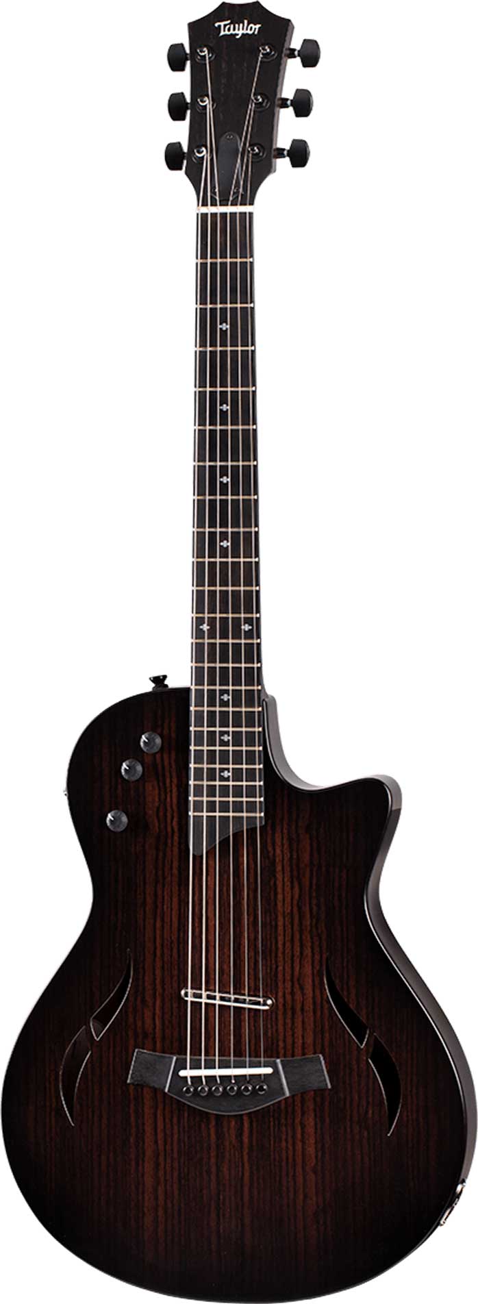 Taylor T5z Classic Rosewood - Fair Deal Music
