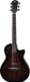 Taylor T5z Classic Rosewood - Fair Deal Music