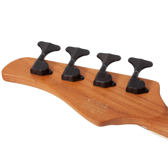 Schecter C-4 Standard Charcoal Satin - Fair Deal Music