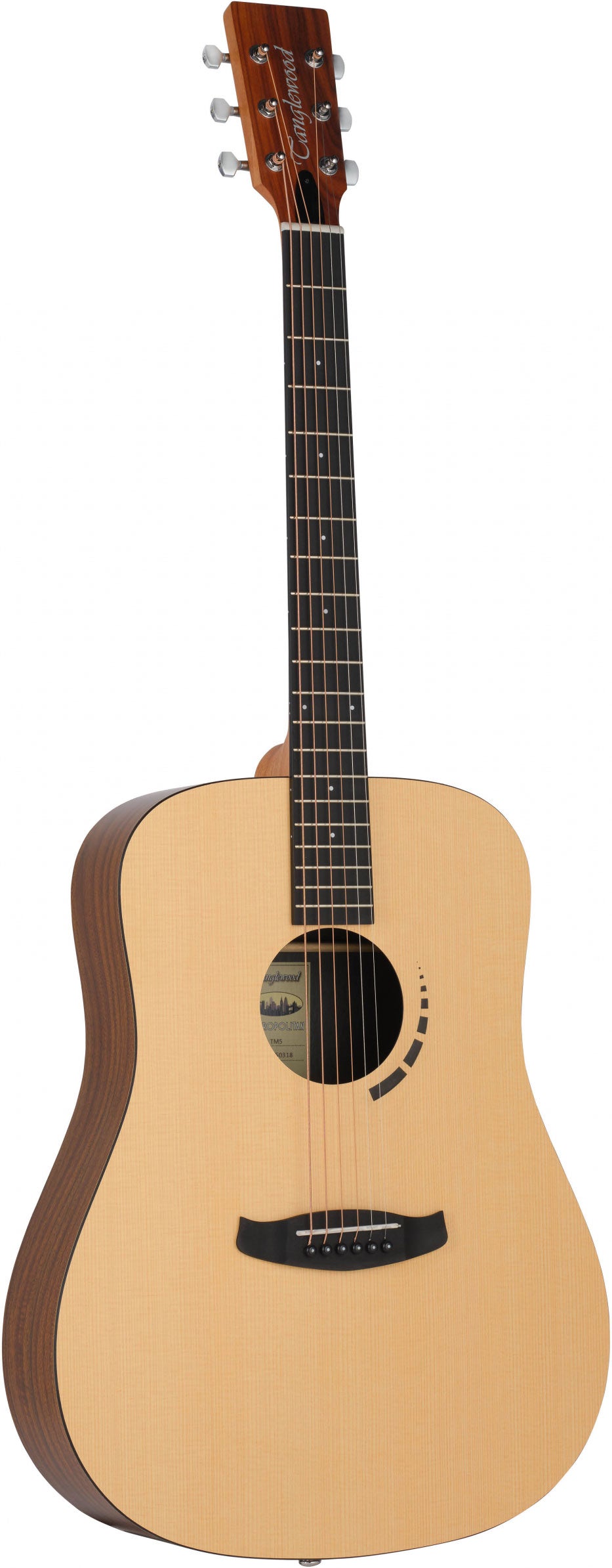 Tanglewood TM5E Dreadnought Electro Acoustic Guitar - Fair Deal Music
