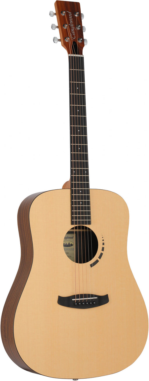 Tanglewood TM5E Dreadnought Electro Acoustic Guitar - Fair Deal Music