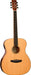 Tanglewood Roadster X TRX3E - Fair Deal Music